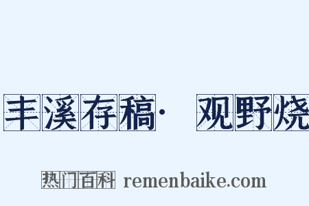 丰溪存稿·观野烧是什么意思的图片